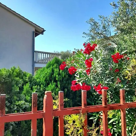 Studio Bogdan Homestay